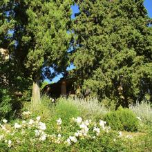 Il giardino di Mille Primavere