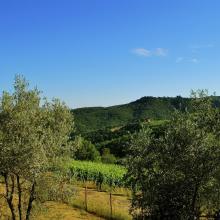 La vista da Mille Primavere
