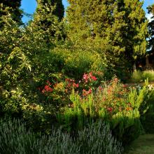 Il giardino di Mille Primavere